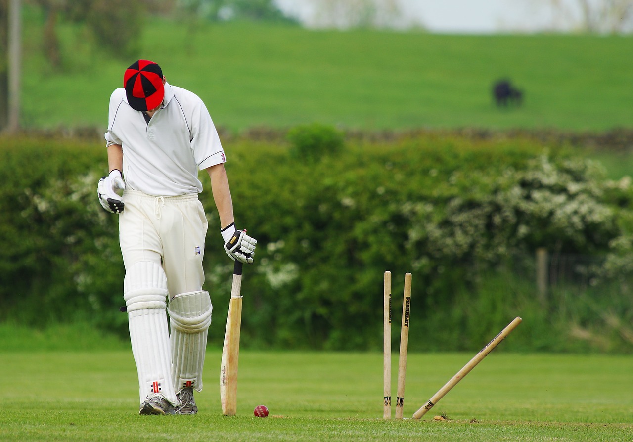 Unfortunately, he got mashed up by wicket